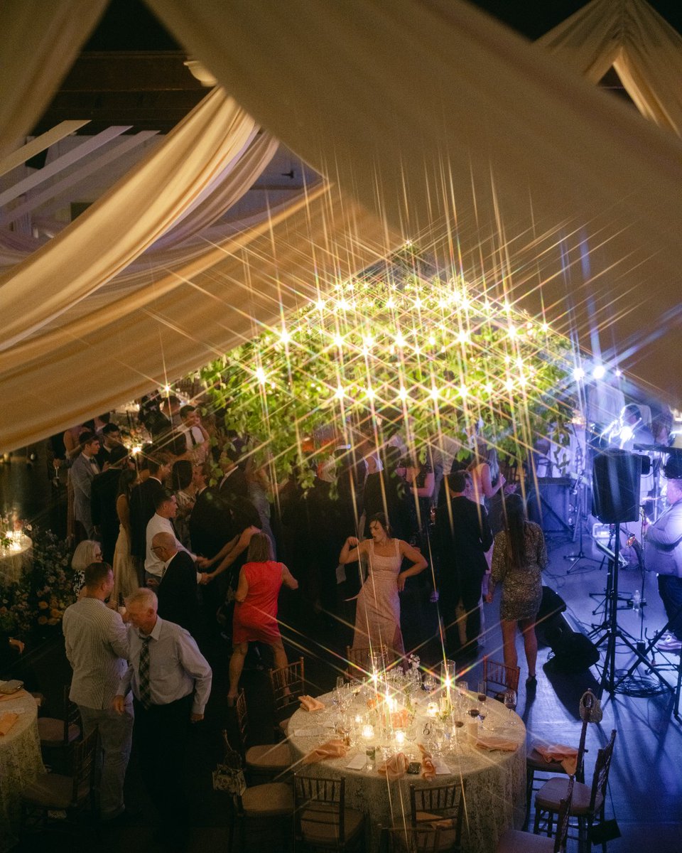 bachelorband's tweet photo. These party vibes were immaculate ✨ 

Photo by @audrajonesphotography https://t.co/hoxyNXWAYk