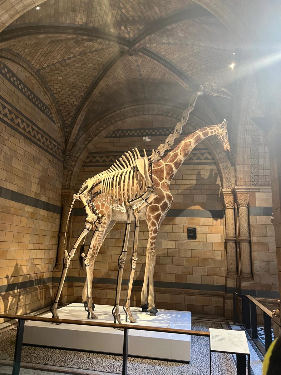 Samcersxa's tweet image. Happy Friday ! 🤎