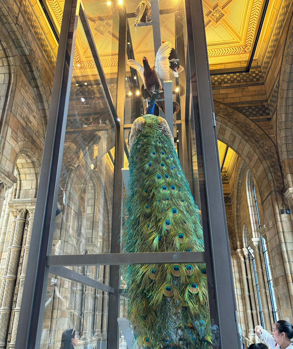 Samcersxa's tweet image. Happy Friday ! 🤎