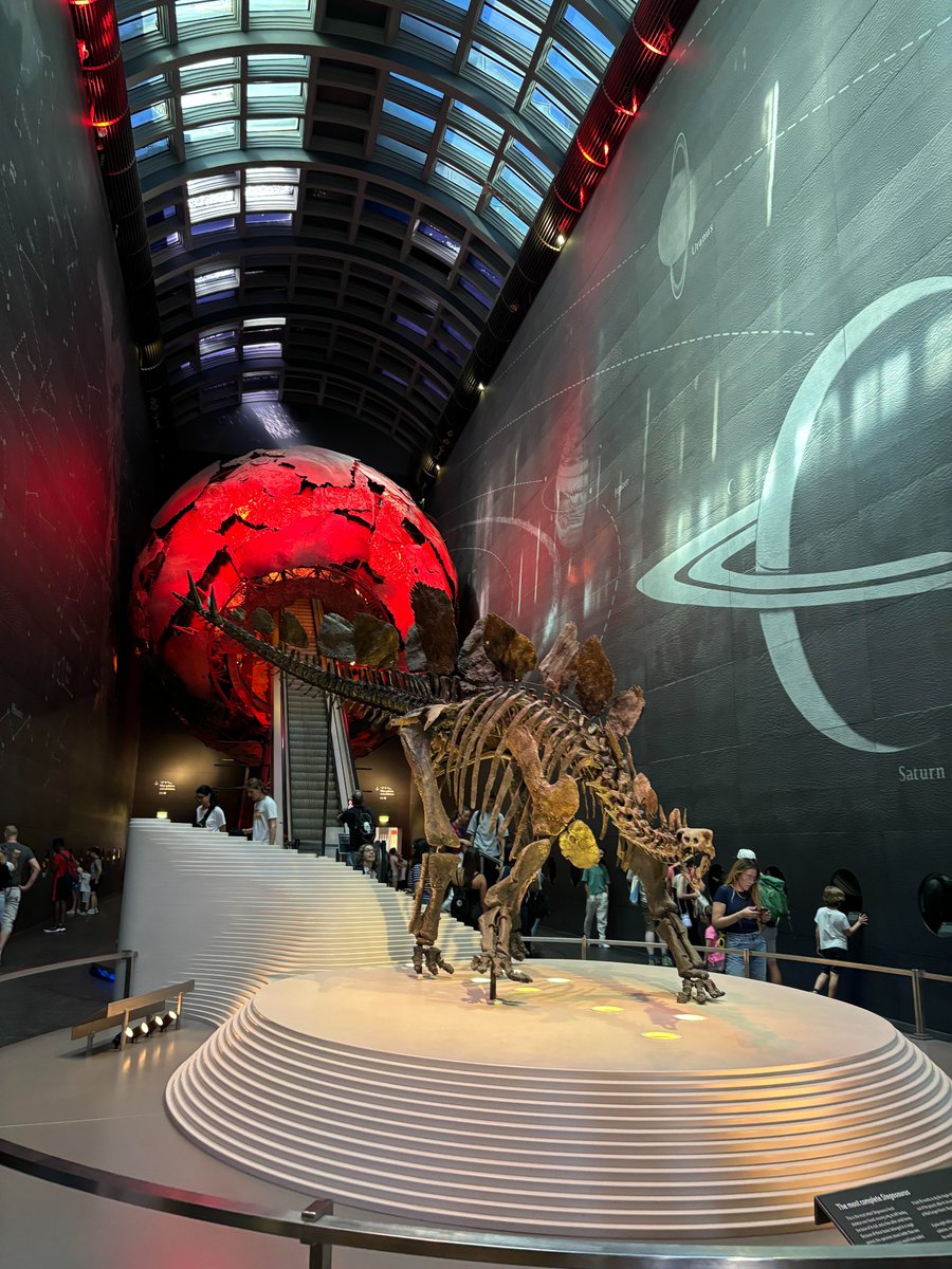 Samcersxa's tweet image. Happy Friday ! 🤎