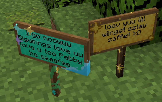Kinmiri_'s tweet photo. I think i made the custom signs too cute cuz like how. is it. so cute. im actually dying. #sclsmp https://t.co/jGbw2XEc5g