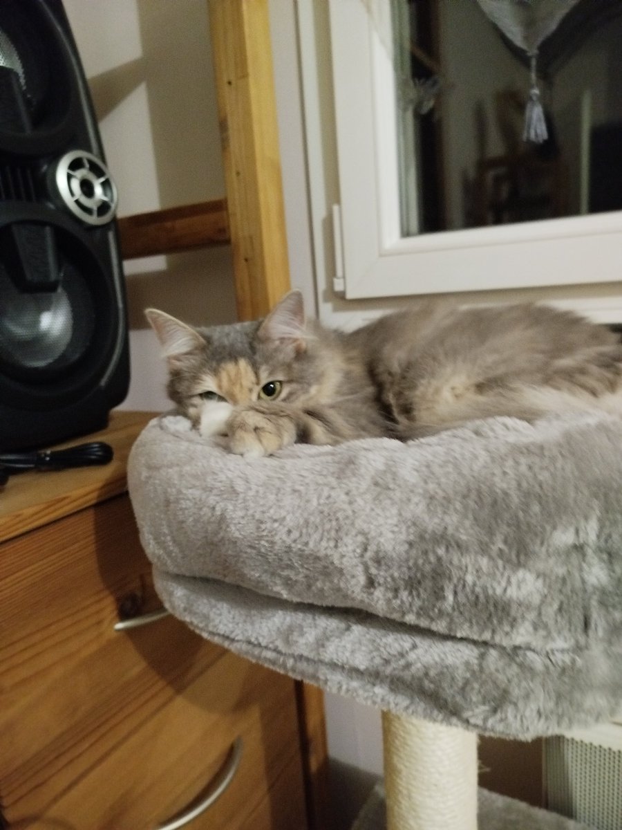 WinryRockbellu's tweet image. Cachée