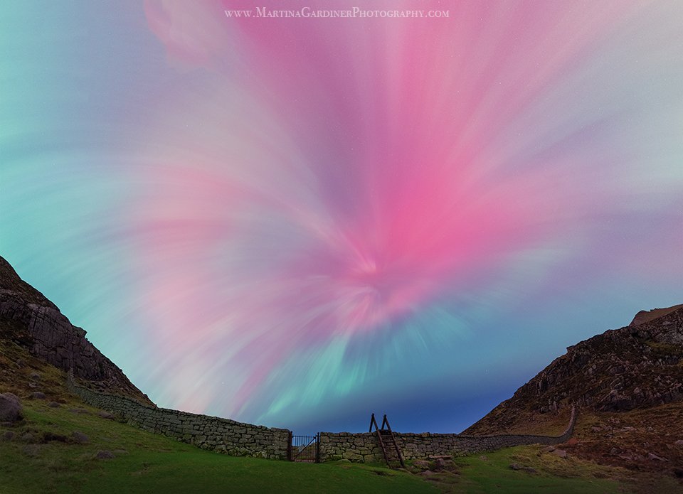 Martina Gardiner tweet media