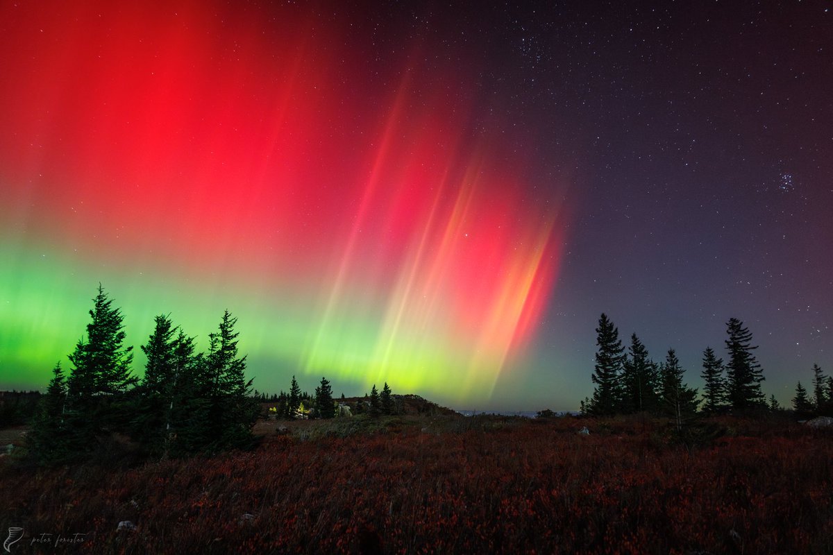 May 10 vs October 10