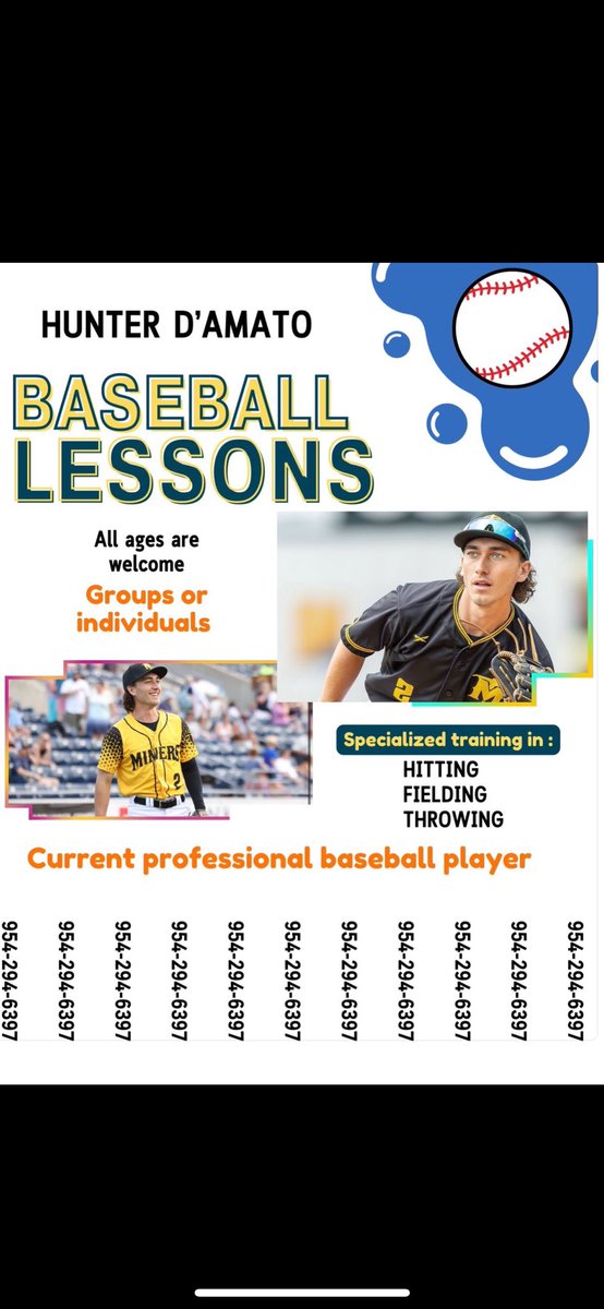 Anyone need baseball lessons in south florida? Current Professional baseball player here giving out lessons!