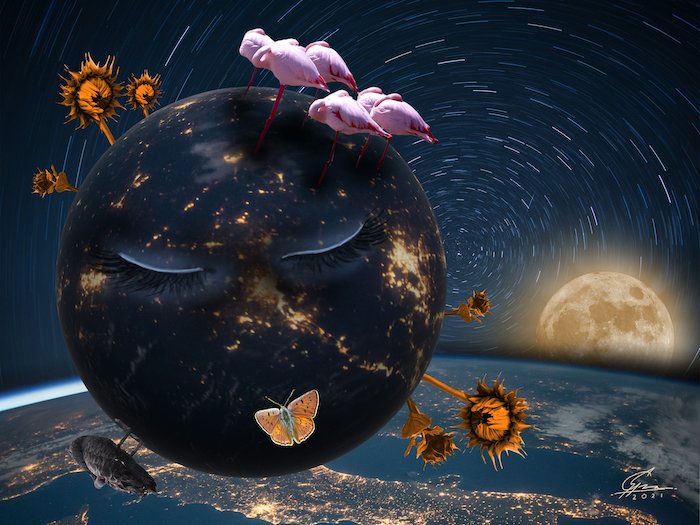 DreamyGabi | Digital artist tweet media