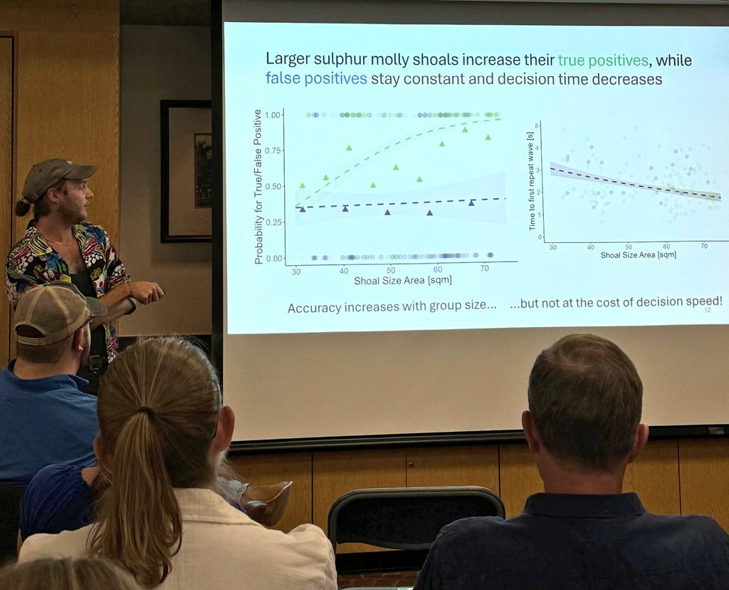CollectiveLabs tweet media