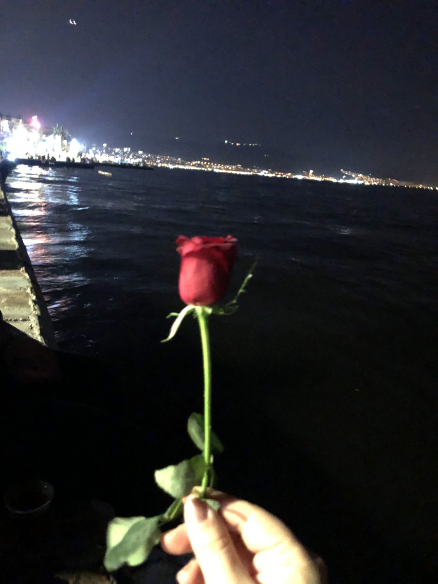 buketsnmzzzz's tweet photo. ❤️ https://t.co/MkNO5CZsO6