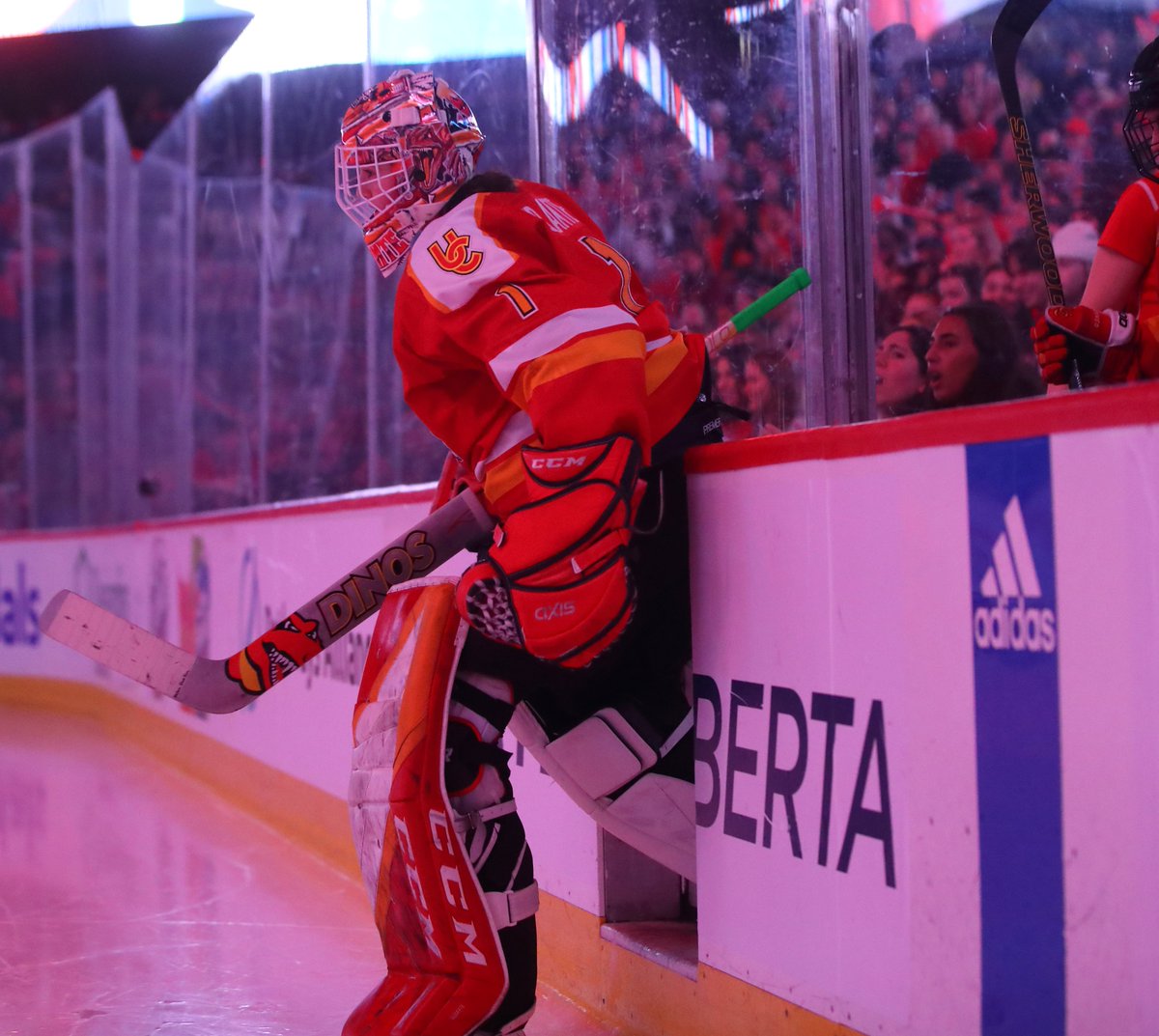 DinosWHKY's tweet photo. Forza Italia 🇮🇹

Gabriella Durante has joined Real Torino as she pursues the Olympic dream and works toward earning a spot on Team Italy at @MilanoCortina26.

Durante finishes her @CanadaWest career eighth all-time in saves.

Good luck, Gabby!

#GoDinos https://t.co/osElmgouf6