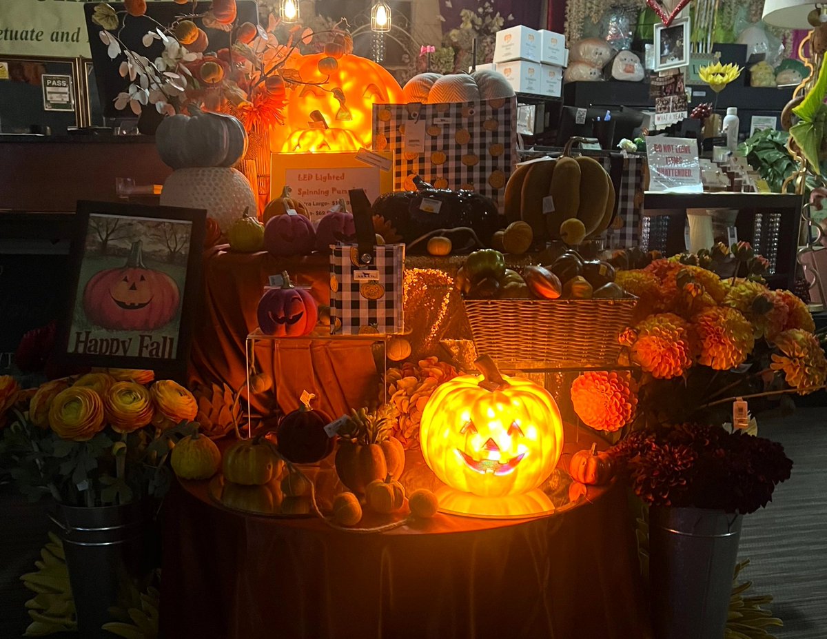 WatanabeFloral's tweet photo. Can you tell that we are ready for Fall and Halloween? 🎃 
#AlohaFriday vibes
.
.
.
#watanabefloral #hawaiiflorist #oahuflorist #honoluluflorist #luckywelivehawaii #luckywelivehi #madeinhawaii #hawaiisbest #hawaiideals #shoplocalhawaii #shopsmallhawaii https://t.co/Ty45YMg2XZ