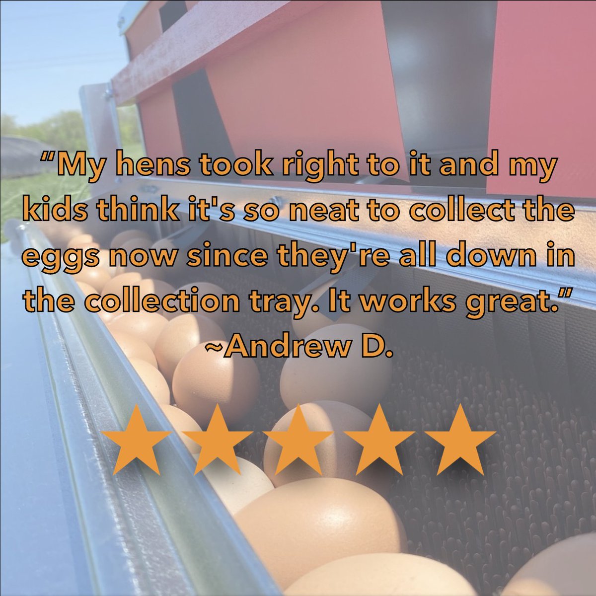 _HenGear_'s tweet photo. Learn More at https://t.co/6PfseQiz5Z!

#chickens #rolloutnestbox #backyardchickens #pasturepoultry #homesteading #regenerativefarming #chickencoop #chickennestbox #regenerativefarming #chickencoopdoor #portablechickencoop #chickentractor https://t.co/XrCmSw7viD