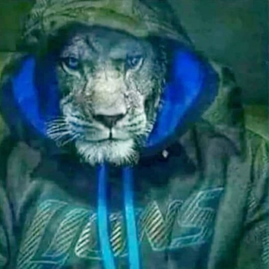 B_Agnew's tweet photo. @ColemanESPN @HDouglas83 It's NEVER ok to Root for a NFL Division Rival! I'm a lifelong Lions Fan.. (Ced The Entertainer)- "I WISH a MF WOULD" root for the Packers, Bears, or Vikings! Absolutely Not! #DefendTheDen #GoLions https://t.co/F402KFnkh9