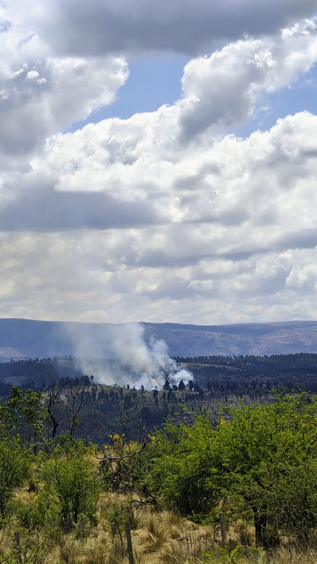 flash107's tweet image. Hola Buenas tardes a todos les informo que se produjo un incendio Forestal en el camino de Triangulo Chico. Próximo a Inti yaco dentro de un pinar trabajaron el cuartel de Villa Berna, Cumbrecita, Brigada Athos Pampa, él mismo se encuentra contenido en este momento .Fabián Vargas