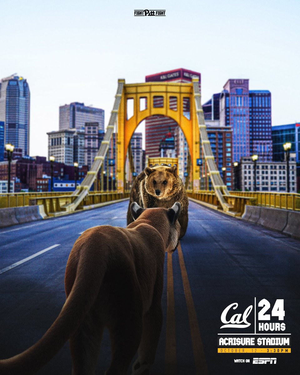 Pitt Football tweet media