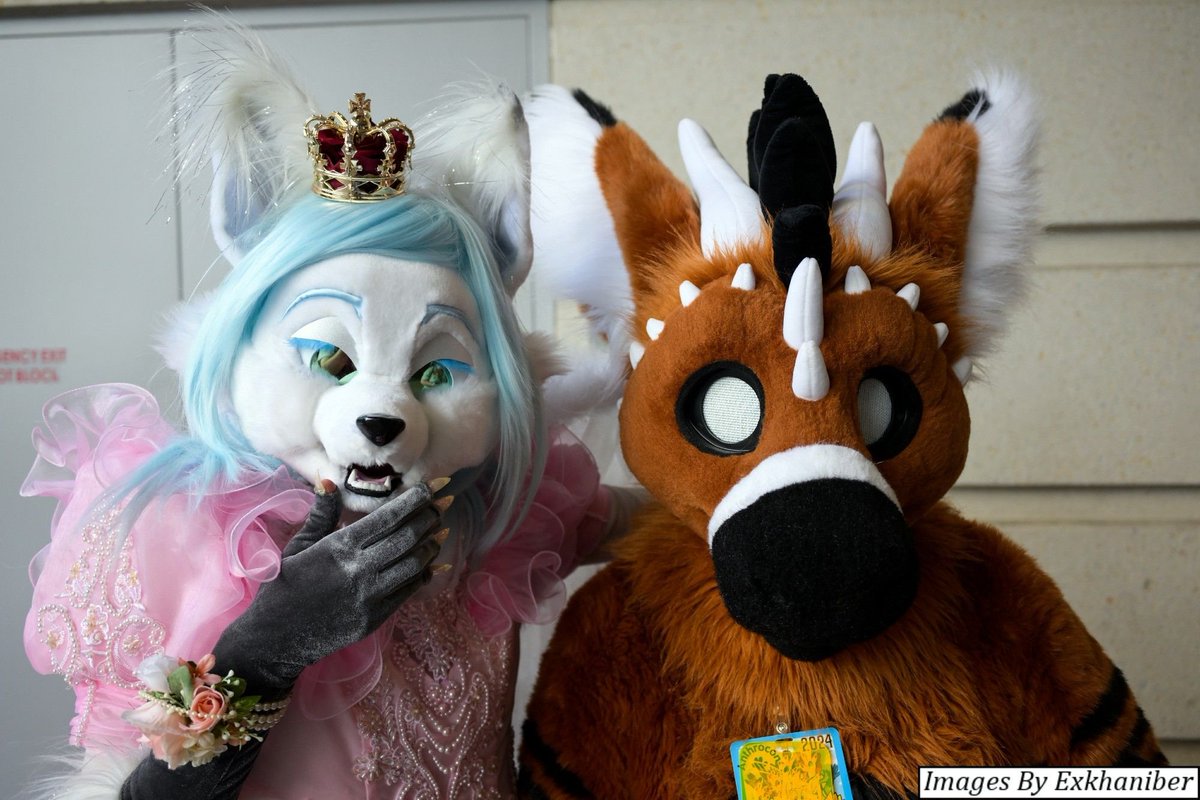 Happy Awoo Year tweet media