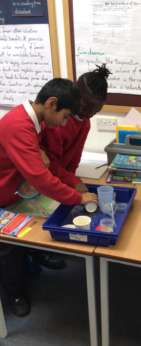 Today, Coelho Class successfully separated the mixtures prepared by Mrs. Romuzga! Great job, everyone!