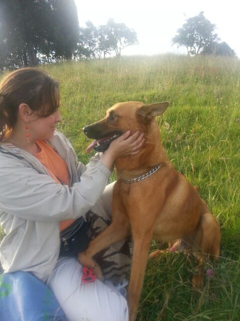 Malparidos, hijueputas (y no pienso pedir disculpas por mi lenguaje) ¿Qué tan miserable hay que ser, qué mierda hay que tener en la cabeza y el corazón para sacar a un perrito de su higar y matarlo a golpes?
¡Que ardan en el infierno esos malnacidos!
Era uno como mi #Melao 🤬💔😭