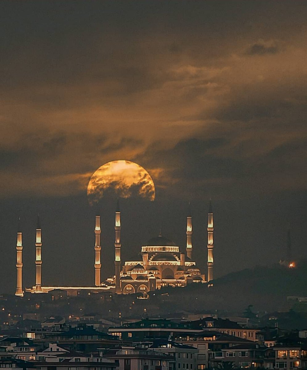 bir cami fotoğrafı bırak.