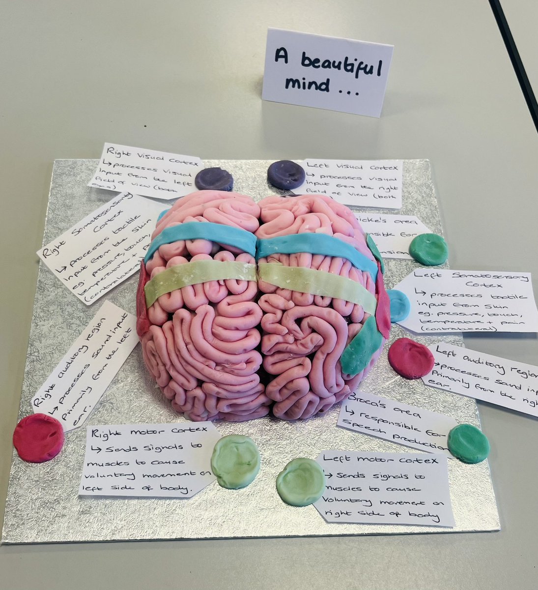 St Ambrose Science (@ambrosescience) on Twitter photo #BiologyWeek came to an end today with our #biologybakeoff 🧁🍰 amazing efforts from students and Dr R & Mrs B too! It’s also been a great week of lunchtime documentary screenings raising the profile of biology across the school🌿🐁🪼🪰🔬🧬🧫🧪 LOVED IT!! <a href="/RoyalSocBio/">Royal Society of Biology</a> #BiologyWeek came to an end today with our #biologybakeoff 🧁🍰 amazing efforts from students and Dr R & Mrs B too! It’s also been a great week of lunchtime documentary screenings raising the profile of biology across the school🌿🐁🪼🪰🔬🧬🧫🧪 LOVED IT!! <a href="/RoyalSocBio/">Royal Society of Biology</a>