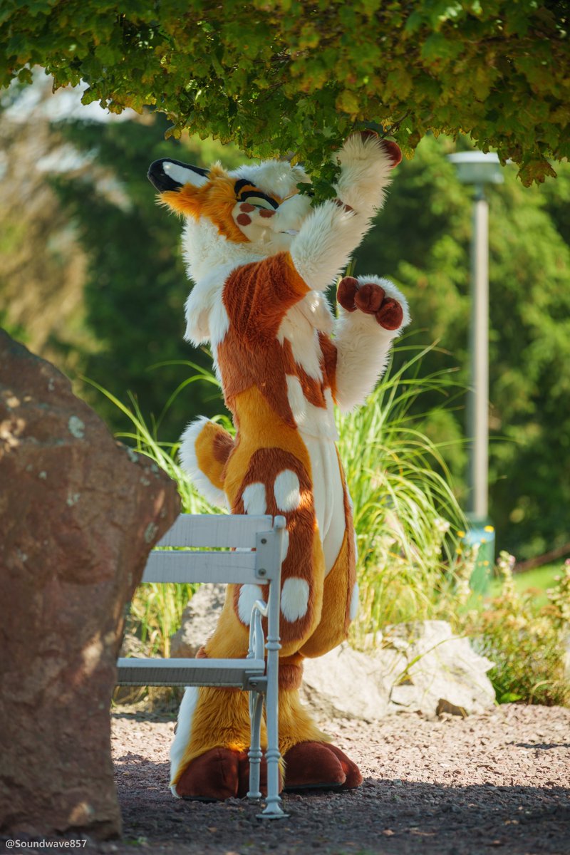 Is this tree nommable or just decoration? I'm quite hungry this #FursuitFriday, you know! 🥺🦌

Wonderful 📸 by  <a href="/Soundwave857/">Soundwave 📸</a>!
