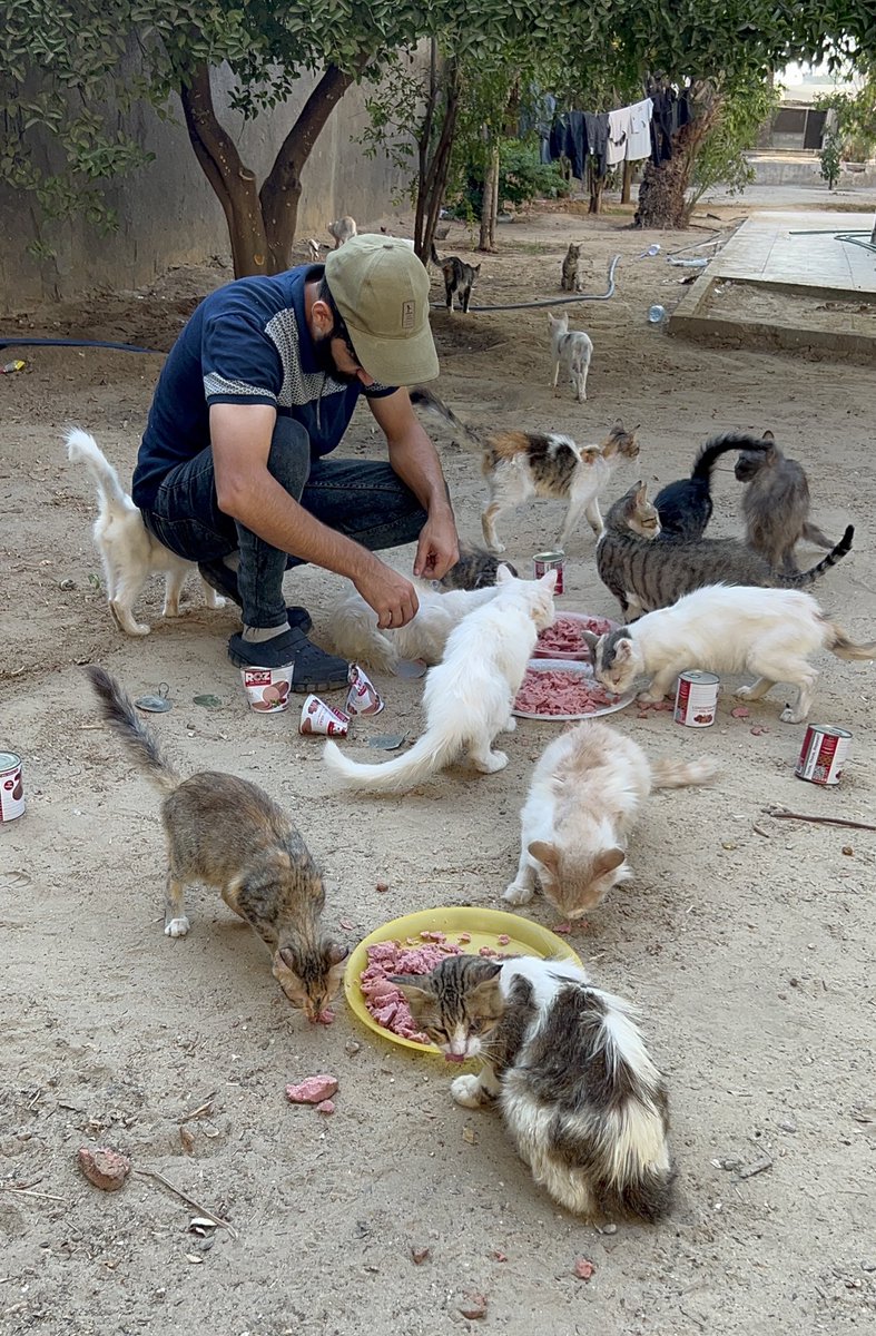 Salam animal care tweet media