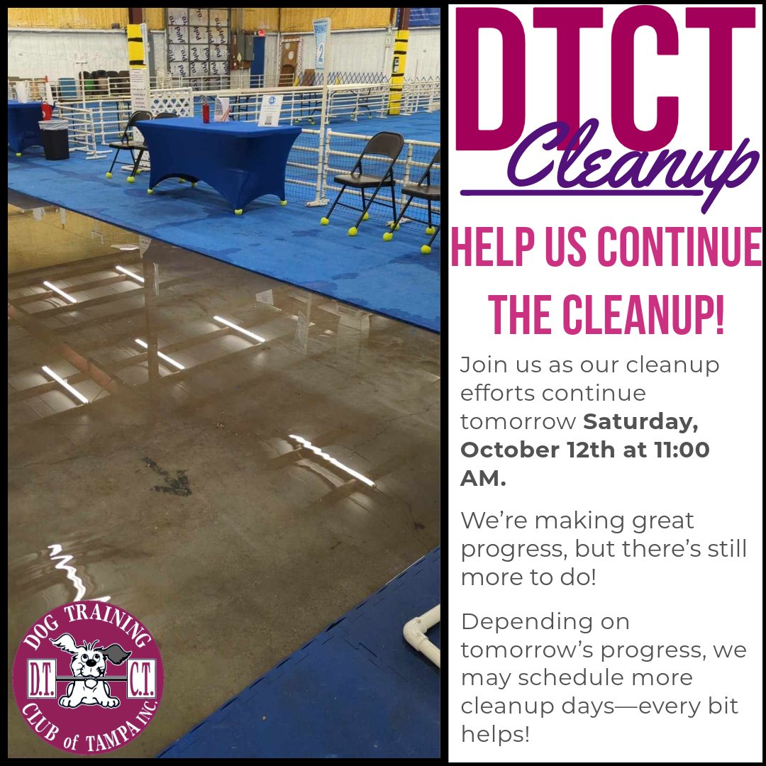 DTCTampa's tweet photo. 🐾 Volunteers Welcome! 🐾
Thank you to everyone who helped today! We’ll continue cleanup tomorrow, 10/12 at 11 AM. Potty area, floors, mats, and shed need work. Every bit helps—join if you can! 🐶💪 #HurricaneMilton #TampaStrong #VolunteerHelp https://t.co/TlFSdwvJHG