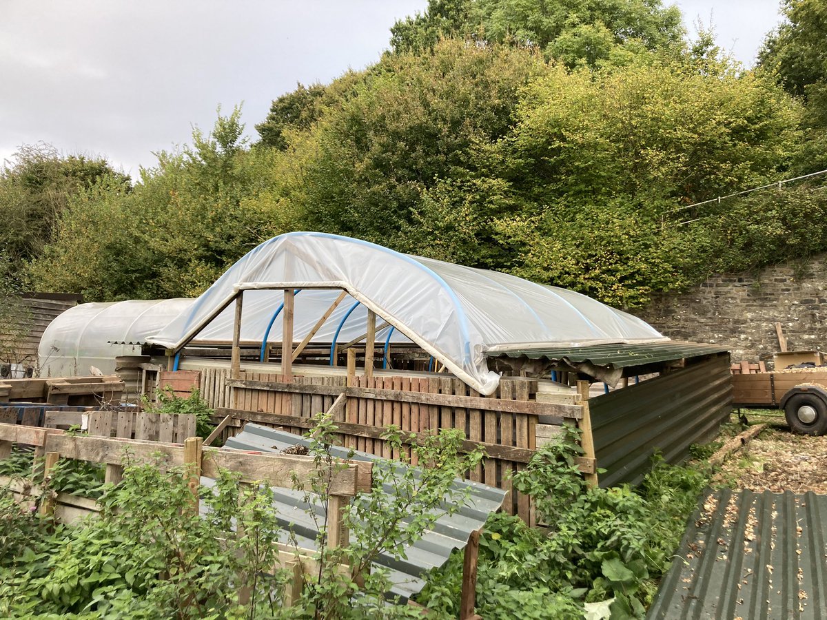 Deep bedding Pig port almost finished #farming #smallholding