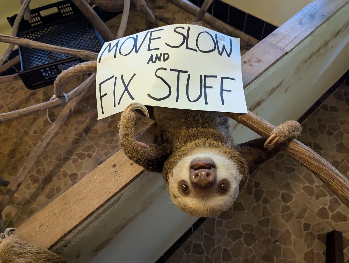 Huge shout out to our new member Adam who joined during our livestream and got the Sloth Perk from <a href="/Dinaconference/">Digital Naturalism Conference🌿🖥️</a> that allowed them to give a sloth a message! We wholeheartedly support these words and we think the sloth loves them too!