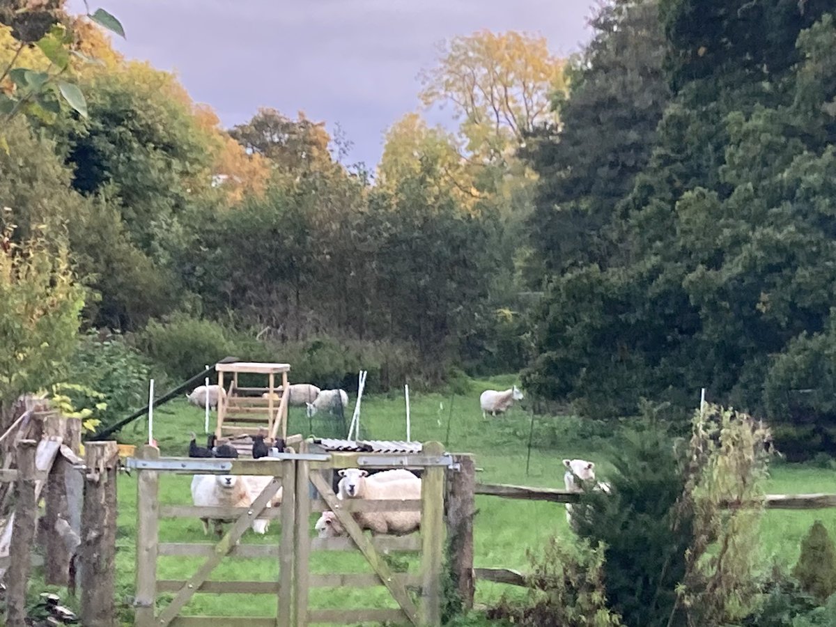 Had some unexpected visitors yesterday and today