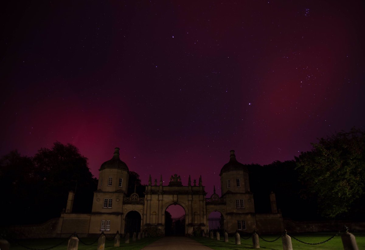 Simon Ingram tweet media