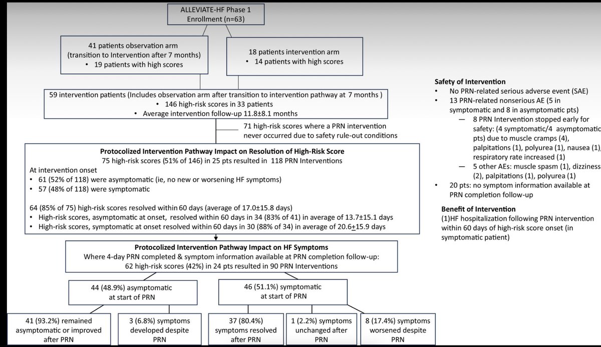 Rami Kahwash tweet media