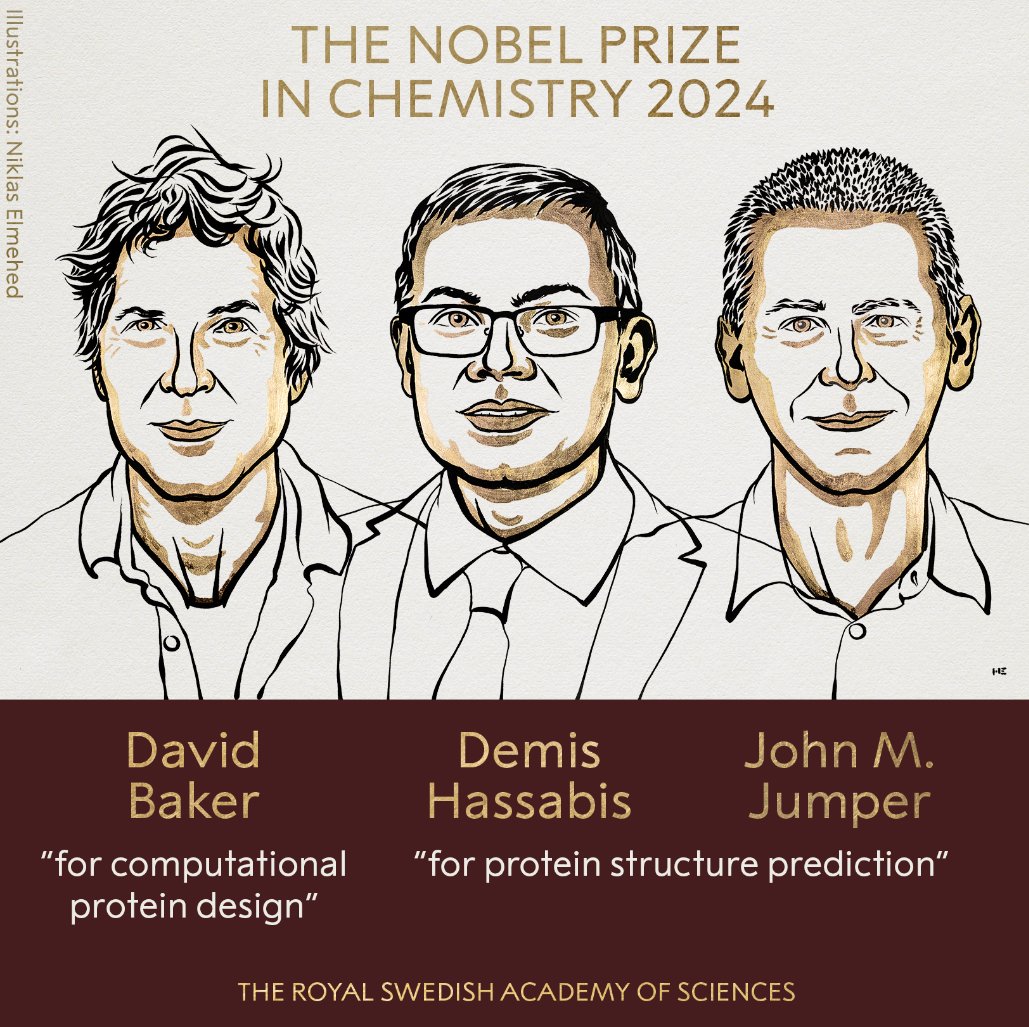 GoogleForHealth's tweet image. Congratulations to @GoogleDeepMind’s @DemisHassabis and John Jumper on being awarded the 2024 Nobel Prize in Chemistry for protein structure prediction with #AlphaFold, along with David Baker for computational protein design.