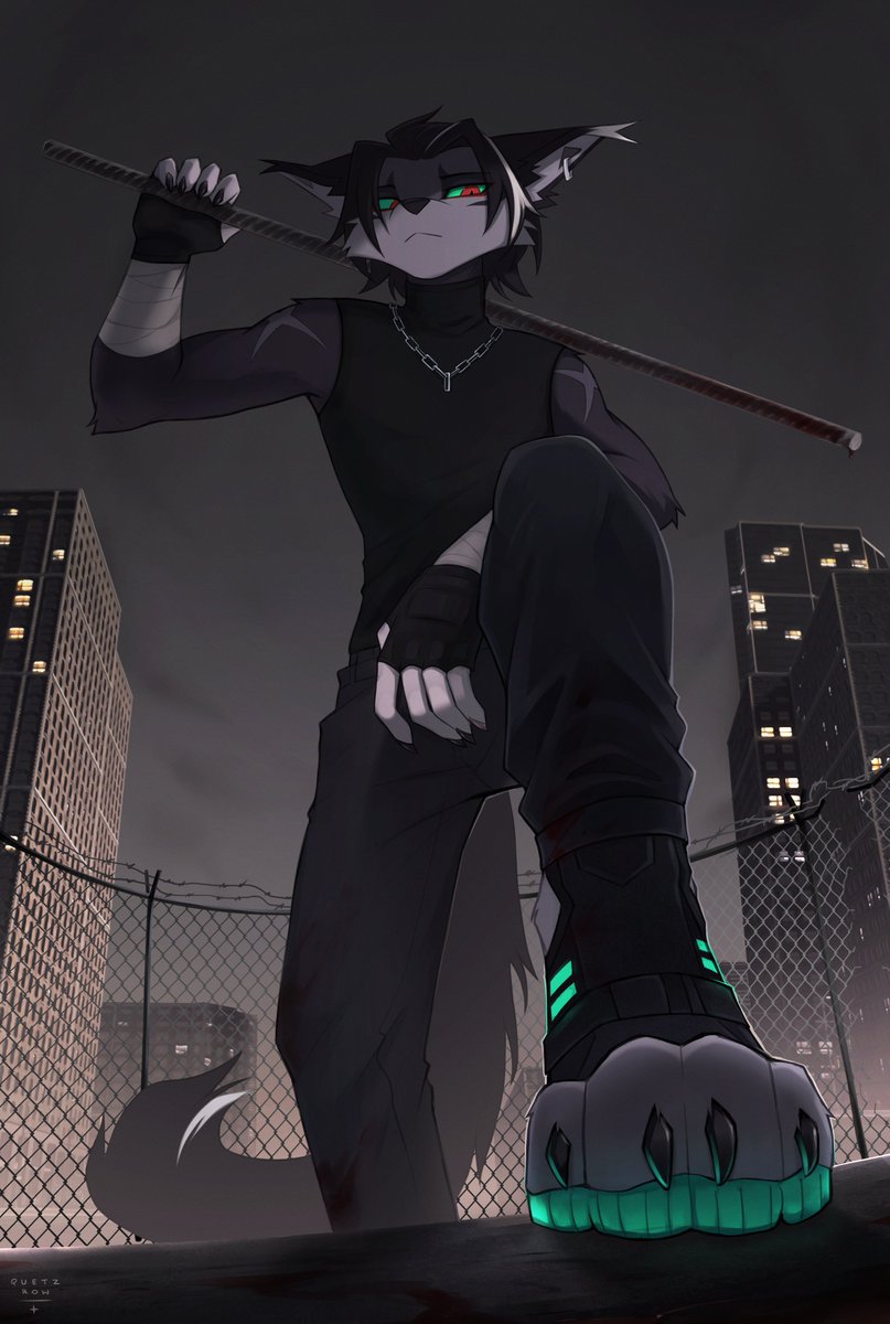 typical quetz behavior