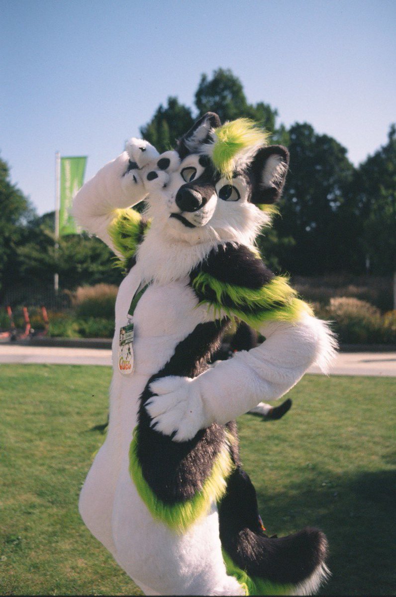 FuzzyCodec's tweet image. Have an amazing weekend everyone, looking forward to @nordic_furdance tomorrow. So hyped for it! As well as I love the look of the picture taken with a really old camera by @streuselcookie. Happy #FursuitFriday #furry #fursuit
📸:@streuselcookie
✂️:@nukecreations