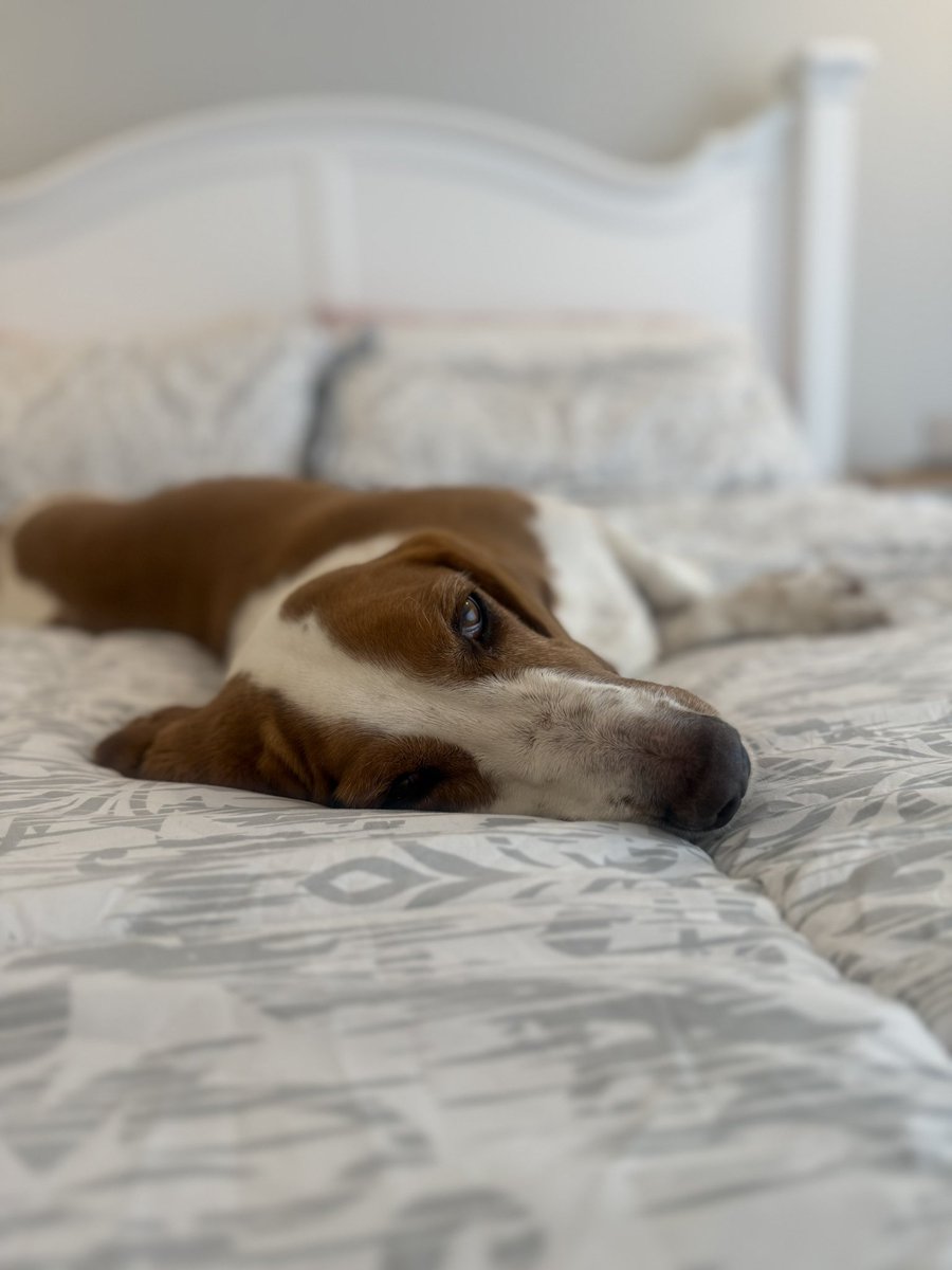 Home on a Friday 💤