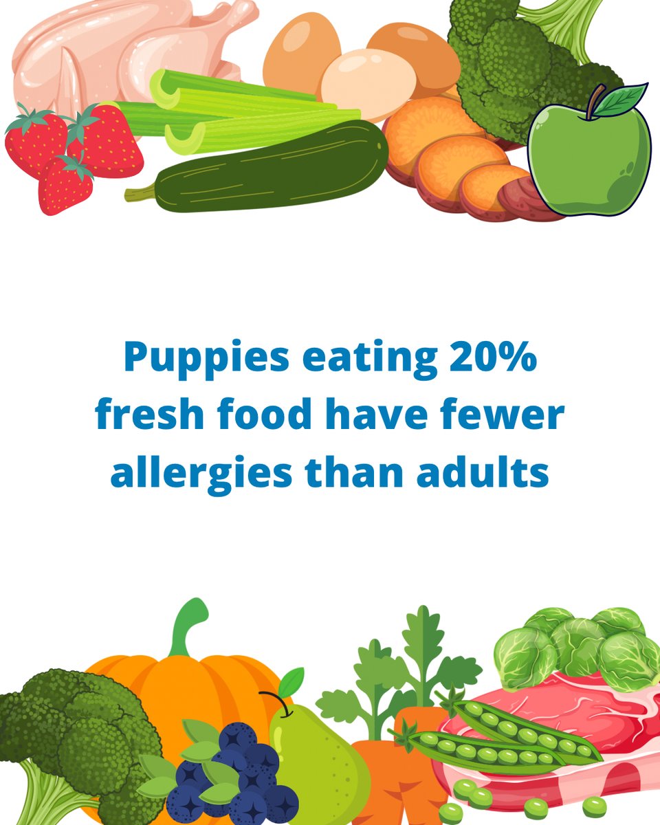 University of Helsinki research uncovered that puppies fed just 20% of raw foods, including table scraps, tripe, and organ meats, had significantly fewer allergies (intolerances) and skin issues in adulthood than those fed primarily kibble.