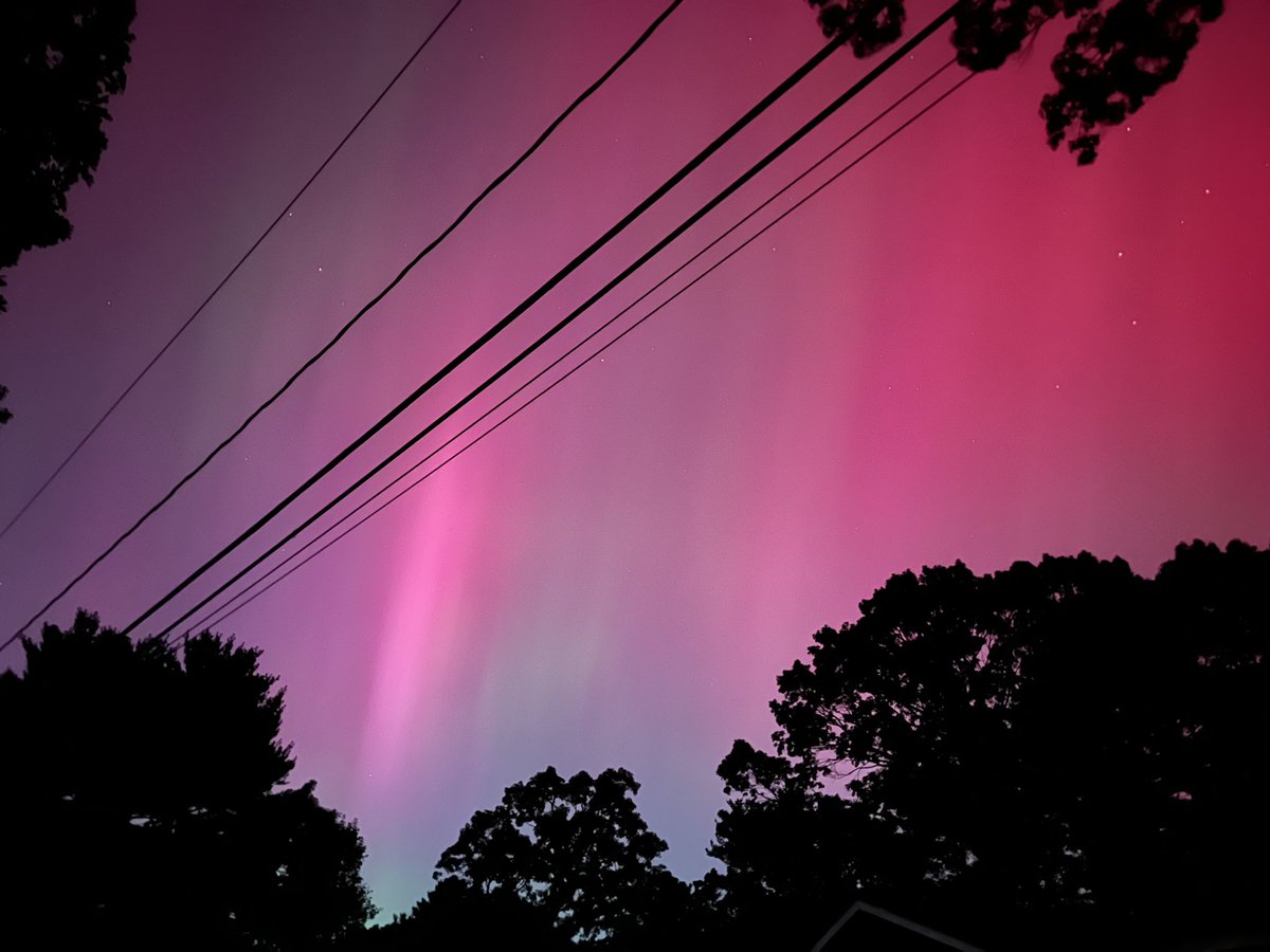 The aurora borealis last night right in my backyard 💕
Beautiful!
#northernlights #aurora #Auroraborealis