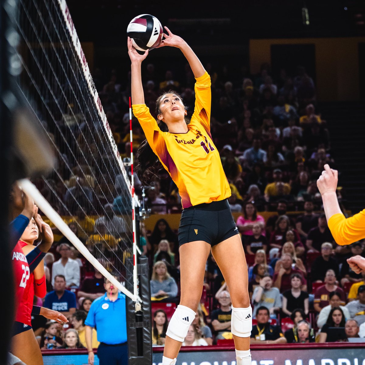 Devils on 🔝

#ForksUp