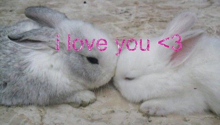 Bunnies's tweet photo. https://t.co/O7WITcwoFV