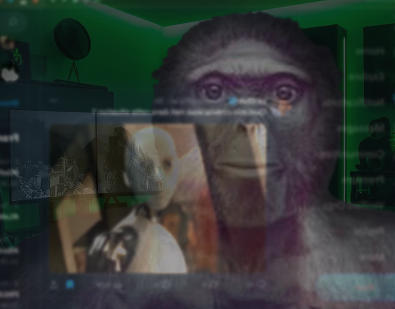 Cassoum ✨ tweet media