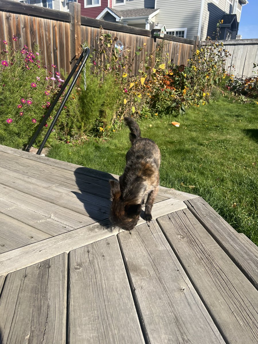 zoepilled's tweet photo. look at my beautiful daughter https://t.co/Cd82DQCE8A