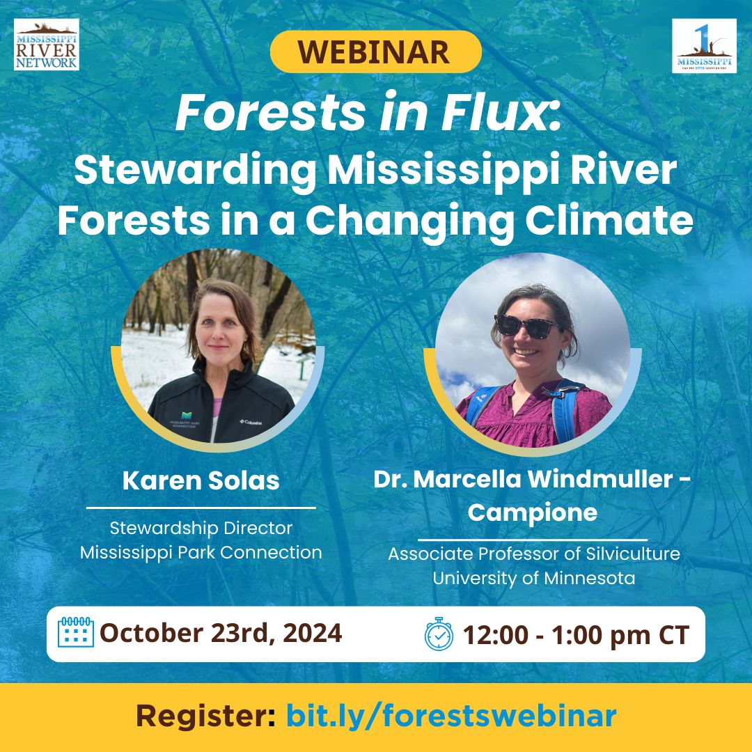 1 Mississippi (@1_mississippi) on Twitter photo Register Now!
"Forests in Flux: Stewarding Mississippi River Forests in a Changing Climate" webinar happening Wednesday, October 23rd, 12 - 1 pm CST.
Learn more about the program and presenters and register here:
buff.ly/3Y15VYQ
<a href="/ParkConnection/">ParkConnection</a> @umn_forestresources Register Now!
"Forests in Flux: Stewarding Mississippi River Forests in a Changing Climate" webinar happening Wednesday, October 23rd, 12 - 1 pm CST.
Learn more about the program and presenters and register here:
buff.ly/3Y15VYQ
<a href="/ParkConnection/">ParkConnection</a> @umn_forestresources