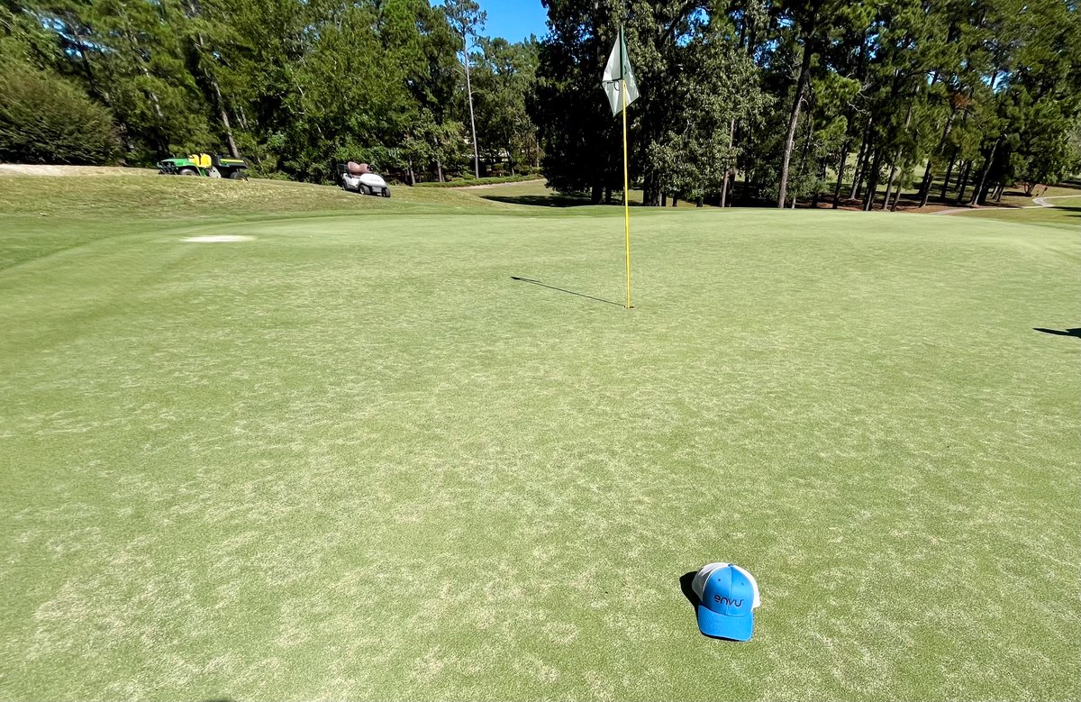 Jesse Benelli tweet media