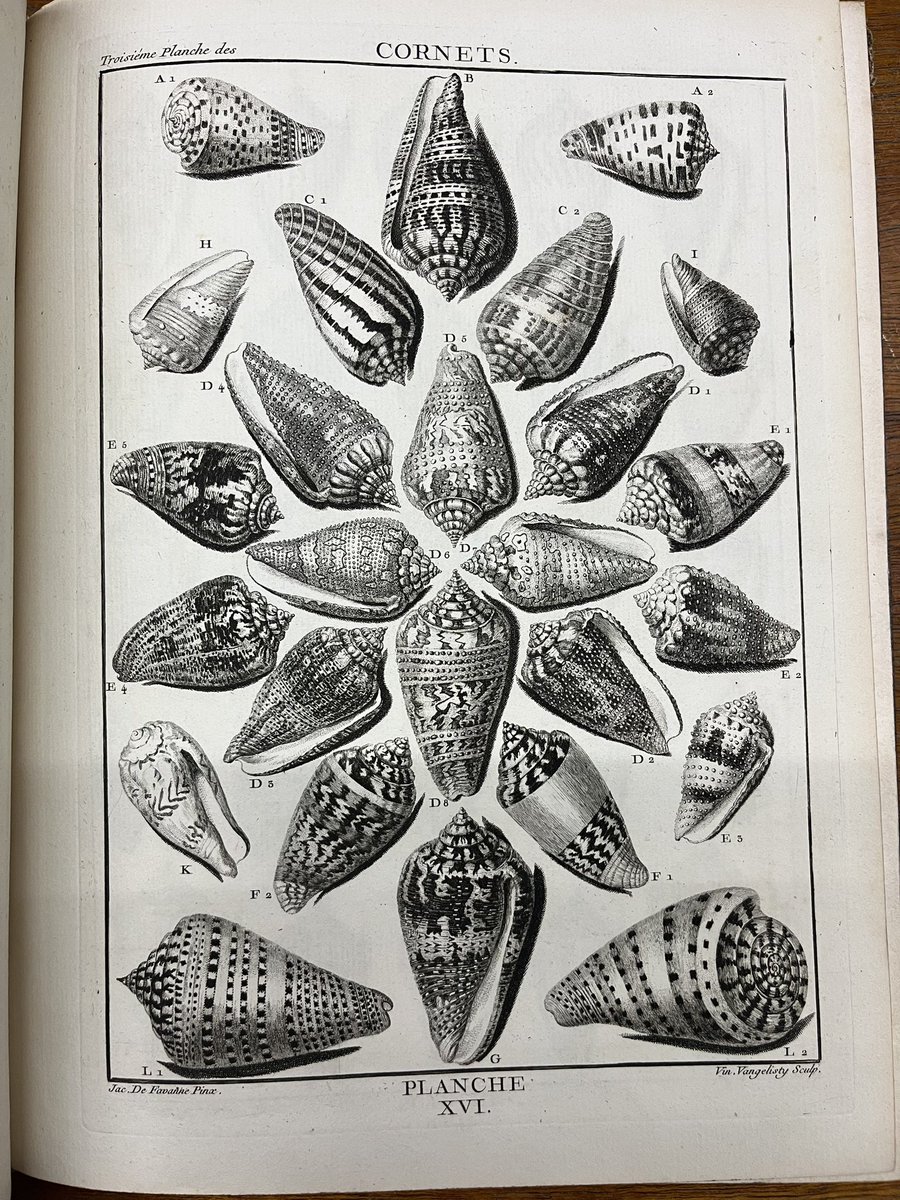 Andrea Hart (@drewyhart) on Twitter photo #Friday smiles from <a href="/NHM_Library/">NHM Library and Archives</a> #mollusca sectional library and father & son de Favanne de Montcervelle in La conchyliologie, ou histoire naturelle des coquilles de mer (1780, plates). The engraving detail, symmetry & composition are just sublime (dodgy croc though!) #rarebooks #Friday smiles from <a href="/NHM_Library/">NHM Library and Archives</a> #mollusca sectional library and father & son de Favanne de Montcervelle in La conchyliologie, ou histoire naturelle des coquilles de mer (1780, plates). The engraving detail, symmetry & composition are just sublime (dodgy croc though!) #rarebooks