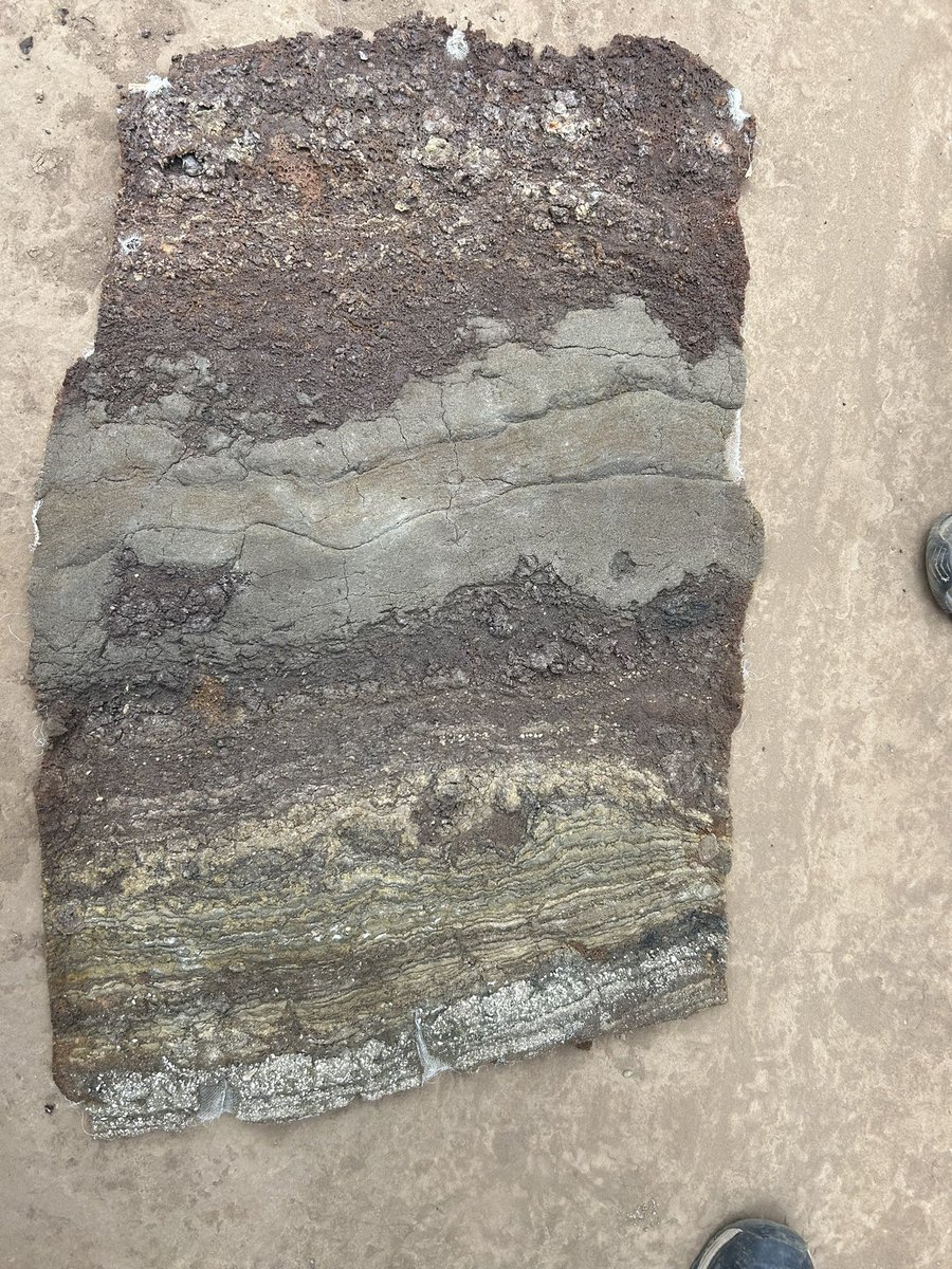 gabriel gonzalez tweet media