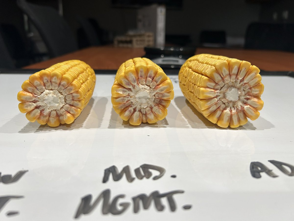 Bambauer Fert & Seed tweet media