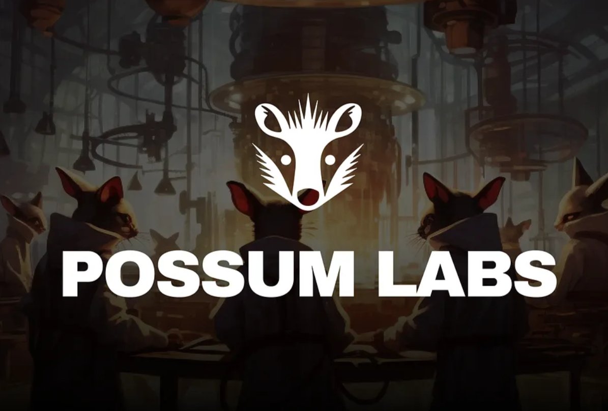 Possum Labs is a DeFi project focused on creating a positive-sum ecosystem. 

An approach that creates mutual benefit for all participants, with no value extraction, and driven by the community.