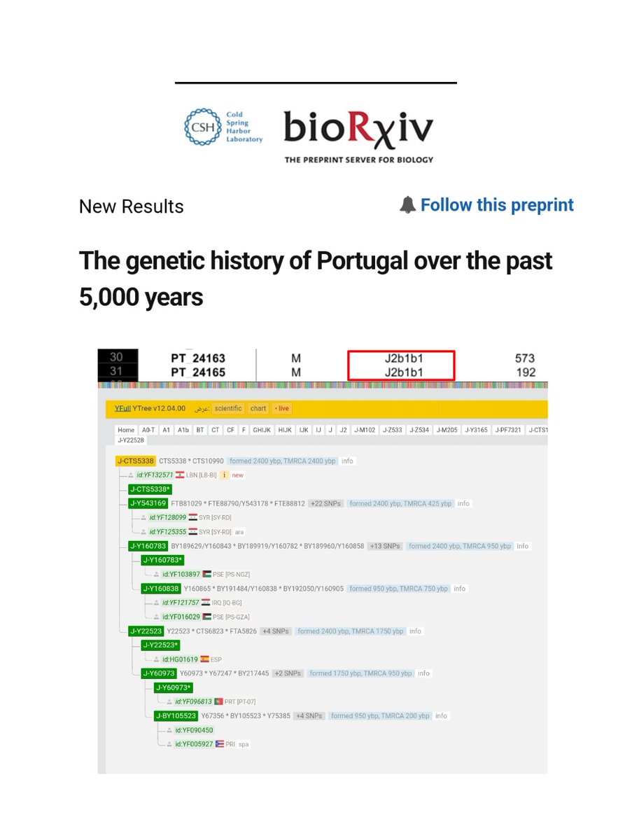 Mohamed Abdelhady - محمد عبدالهادي tweet media