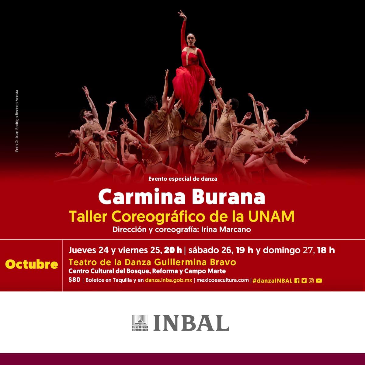 danzaINBAL tweet media