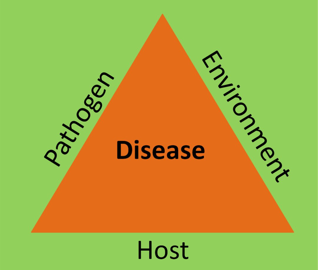 A new blog by RCAP (Rapid Climate Assessment Program) student, Kyle Schutz, explores how navigating wildlife infectious diseases in the context of climate change is daunting – what can agencies do?

nccasc.colorado.edu/blog/navigatin…

#climate #climatetwitter #wildlife #disease